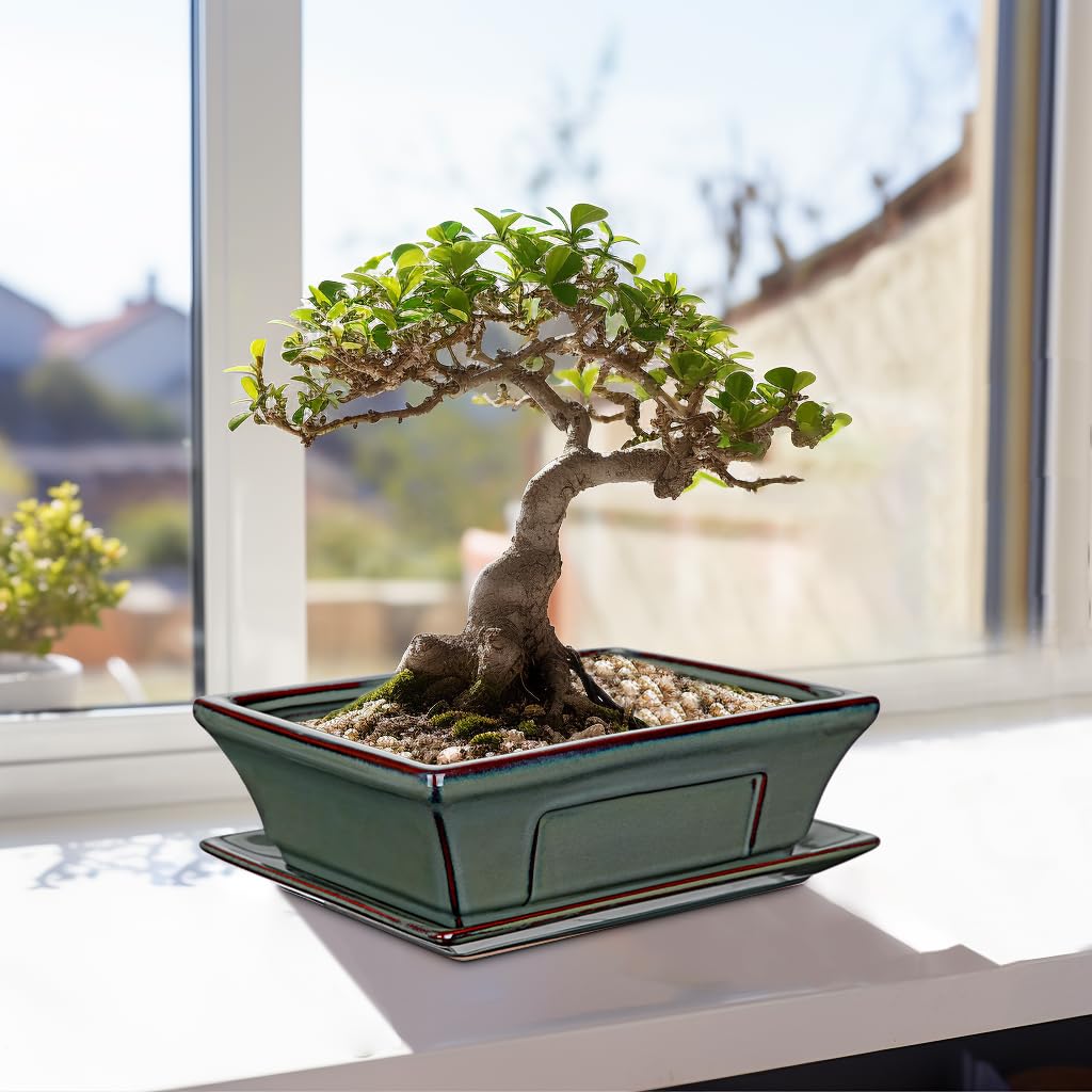 Zestaw 2 ceramicznych doniczek bonsai, z podstawką i otworami drenażowymi, do japońskich roślin pokojowych bonsai, dekoracja retro do zestawów pojemników ogrodowych na zewnątrz, średnica otworu 26 cm