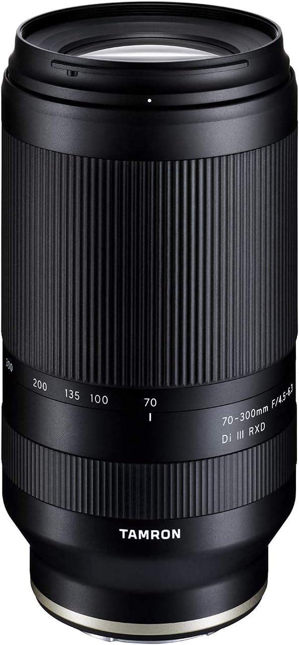 ★極上品★ニコンNIKON AF NIKKOR 24-85mm F2.8-4 D TP-2006 1円 TAMRON タムロン 70-300mm F/4.5-6.3 Di III RXD 望遠ズーム