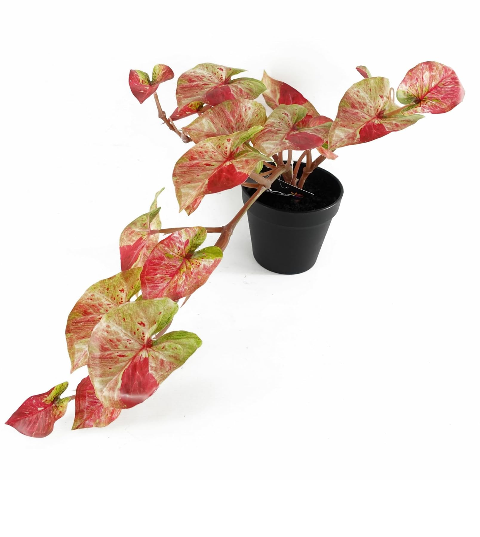 Botanik Artificial Office Plants