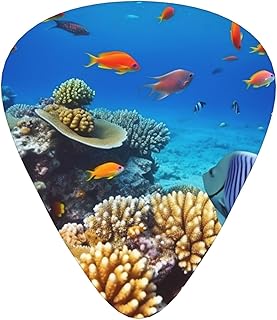 Coral and Sea Fish Guitar Picks 12 Pack Bass Picks with Organizer Box Guitar Plectrum Includes Thin Medium Heavy Guitar Picks Ukulele Picks for Bass Acoustic Electric Guitars