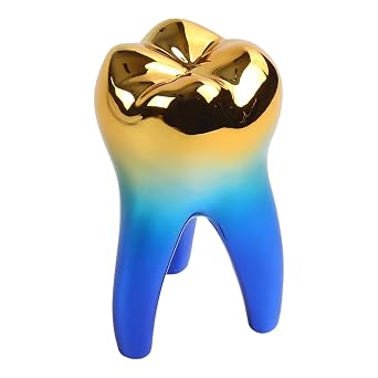 Dental Teeth Modle Handicrafts Ornaments Office Tooth Model Gift