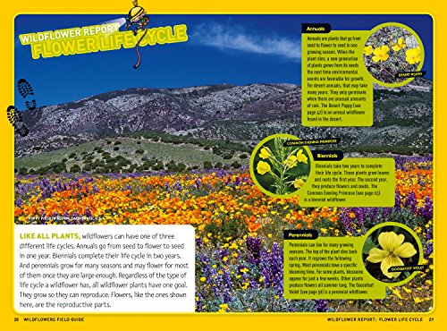 Ultimate Explorer Field Guide: Wildflowers - Image 2