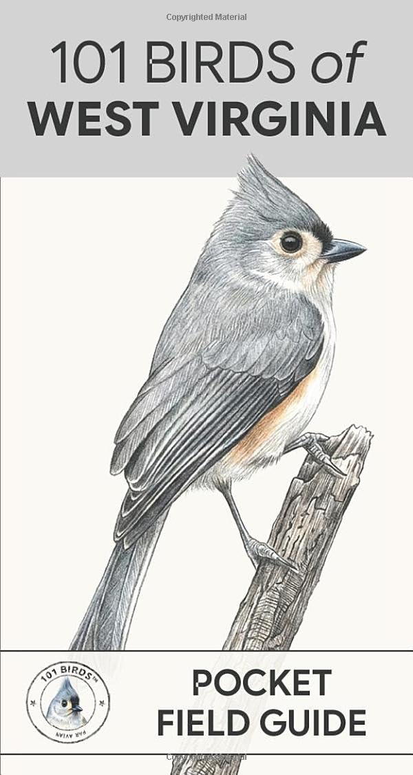 101 Birds of West Virginia: Pocket Field Guide (101 Birds Pocket Field Guides)