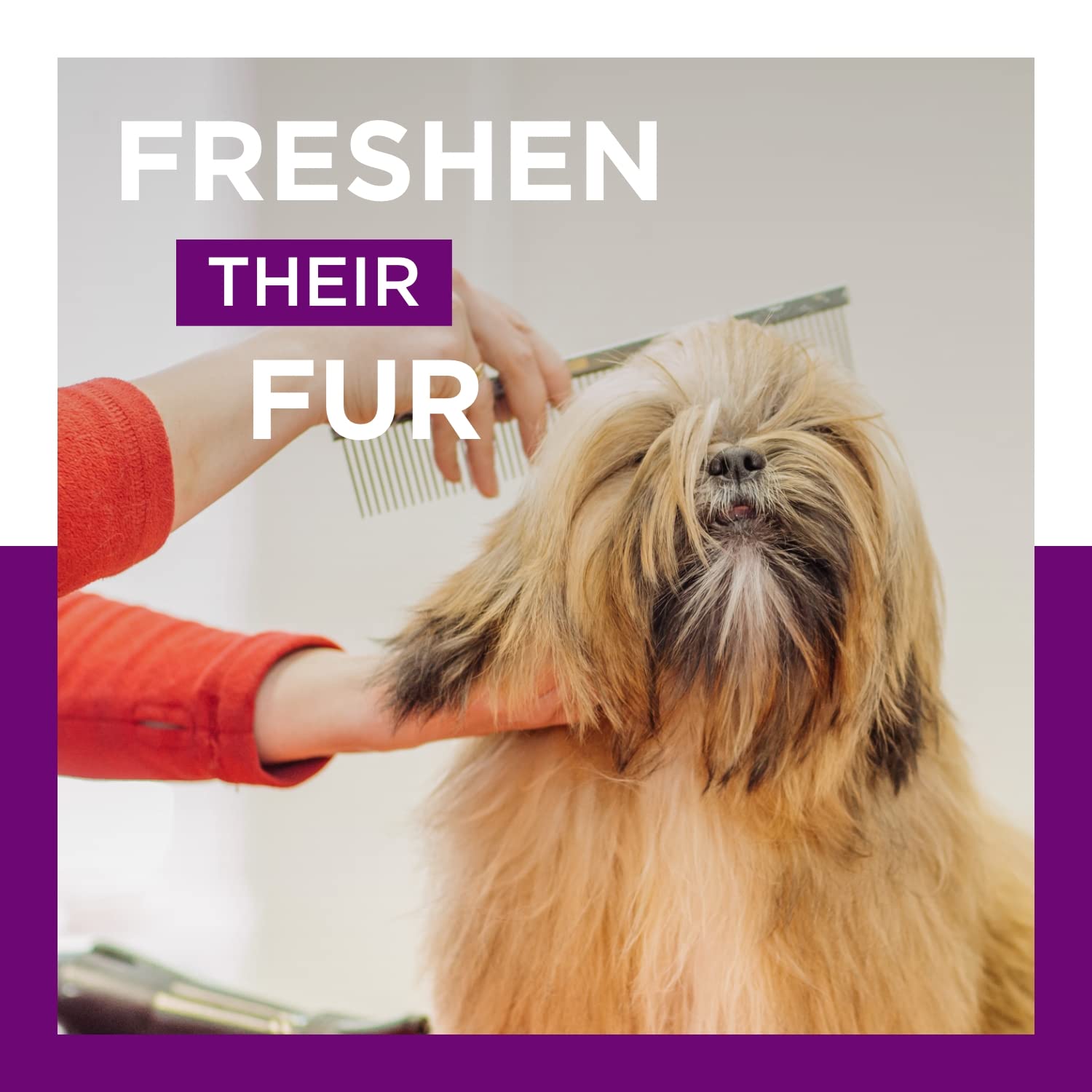 What Can I Spray On My Dog To Smell Good