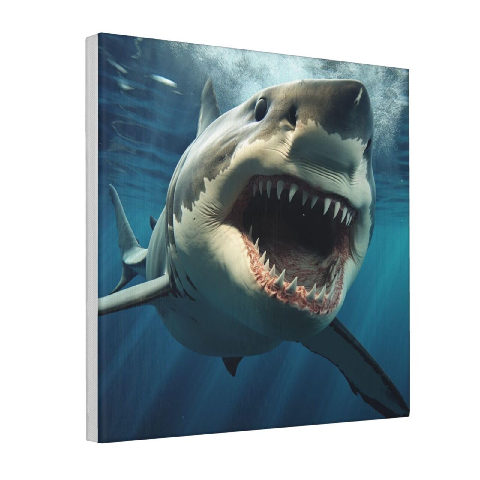 Toile murale requin avec cadre de haute qualité 40cm - 8