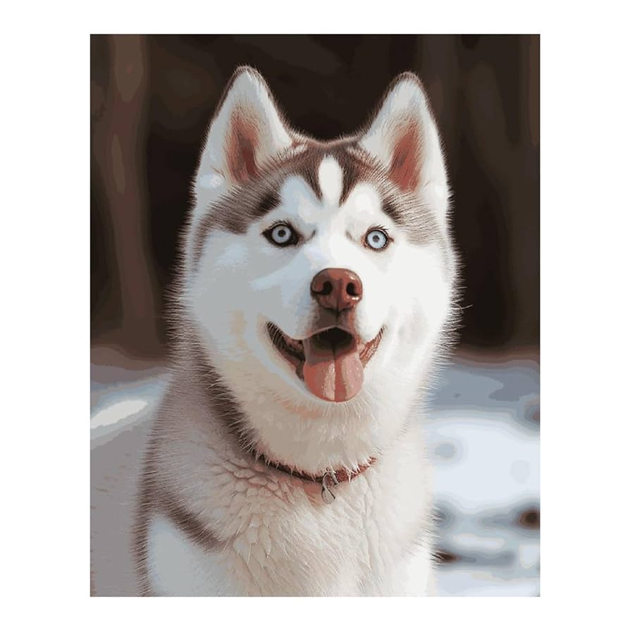 Amazon.com: MNVTSKOP Diamond Painting Kits Husky Piquant Dog