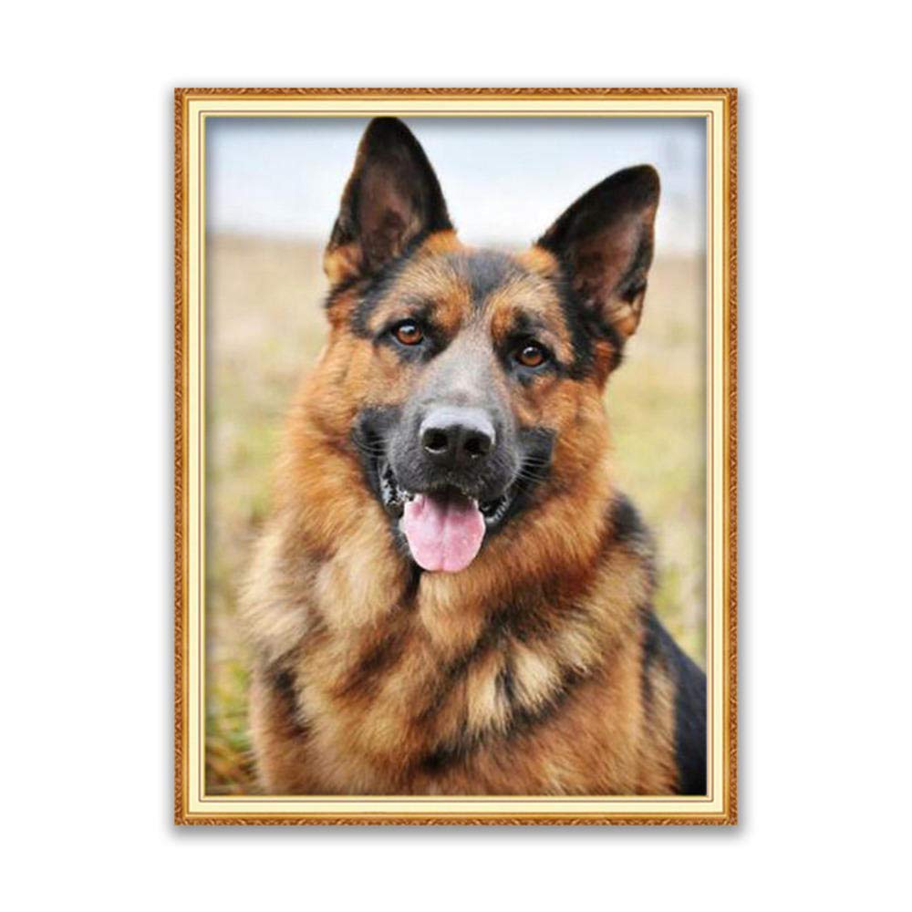 Stamped Cross Stitch Kits for Adults Beginners with Easy Funny Pattern UK Animal German Shepherd 11ct DIY Embroidery Crafts for Needle Point Starter Kit Home Decor Wedding Gift（16×20inch)