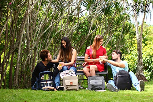 Picnic Backpack For 4 | Picnic Basket | Stylish All-In-One Portable Picnic Bag With Complete Cutlery Set, Stainless Steel S/P Shakers | Picnic Blanket Waterproof Extra Large| Cooler Bag For Camping #TOP7