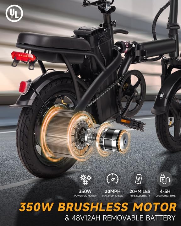 350W Brushless Motor and 48V 12Ah Removable Battery