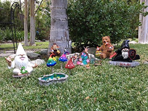 Glitzglam Rocker Gnome George With Zen Frog - This Garden Gnome Combines Peace, Tranquility And Rock N Roll For Your Fairy Garden #TOP7