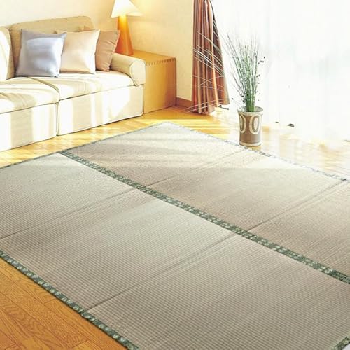 �A�C�R�� �� �����J�[�y�b�g ������~�� ��� ���O�}�b�g ���n �h�_�j �h���� �R�� �h�� �V�R�f�� ���R�f�� �z�b�g�J�[�y�b�g�Ή� 1�� 2�� 3�� 4.5�� 6�� 8�� �u�₩ �N�[�� (174×261�i�]�ˊ�3��j)