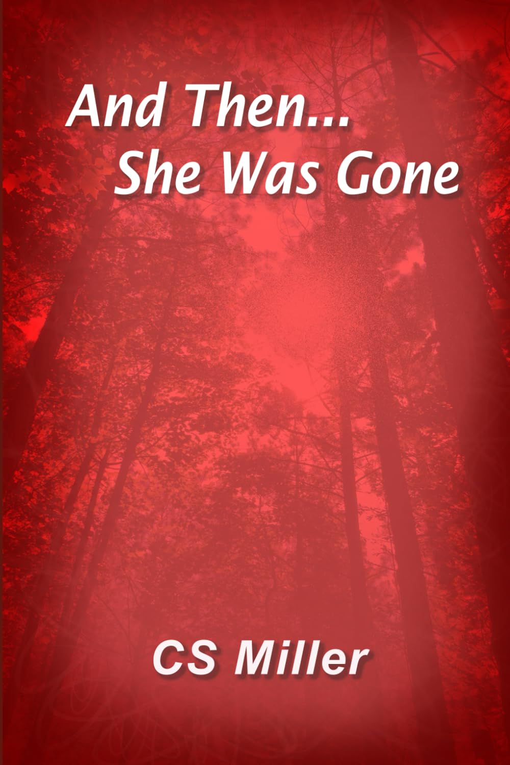 And Then She Was Gone