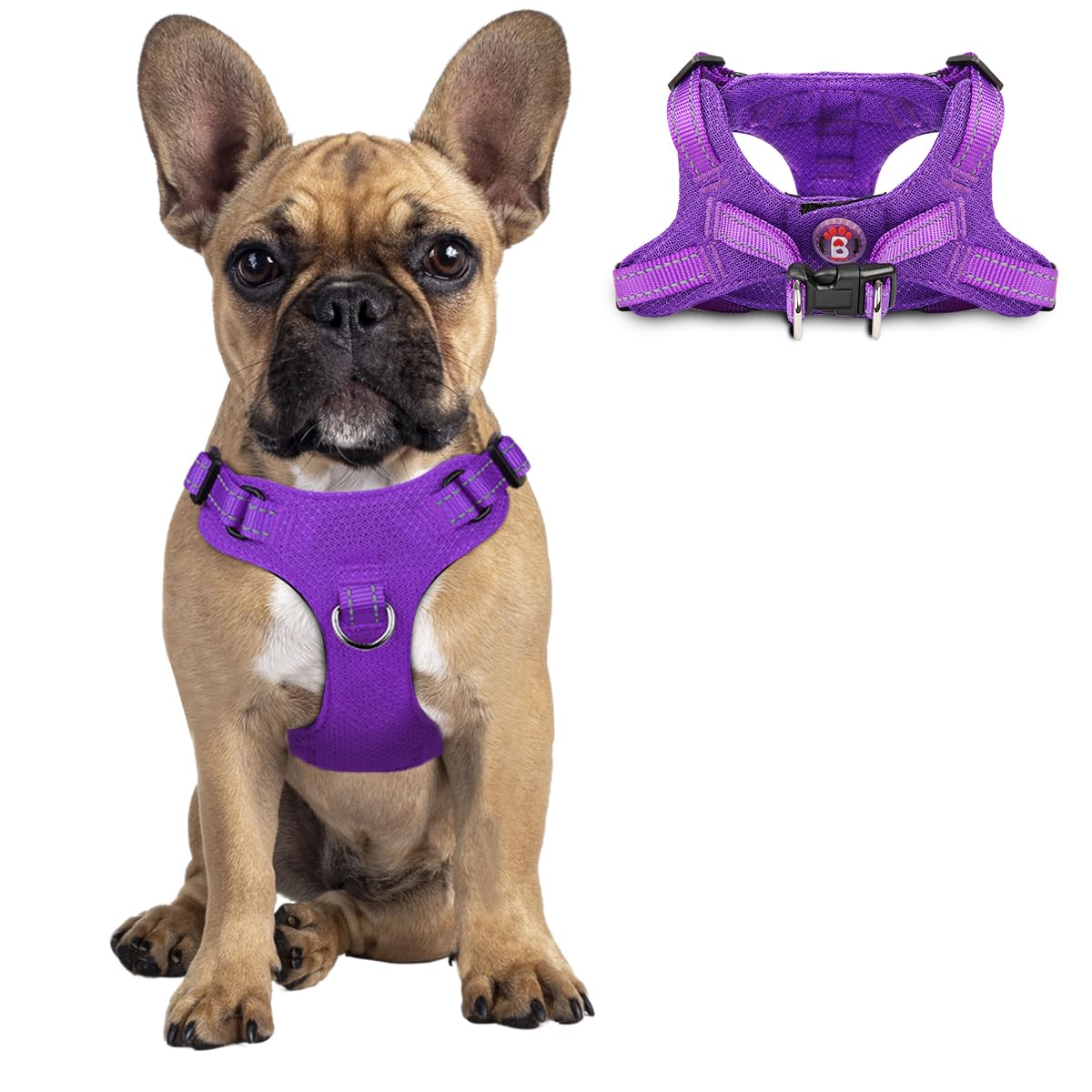 Dog Harness Step in Dog Vest Harness, Reflective Adjustable Puppy No Pull Harness Breathable Soft for Small and Medium Dogs Cats, Purple, S