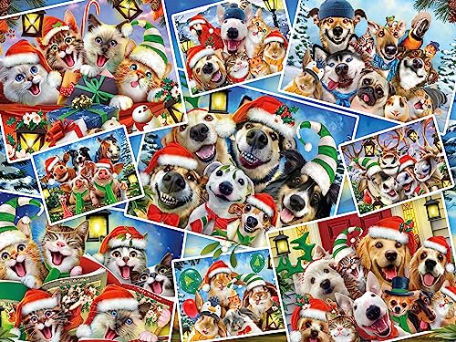 Ceaco 2348-12 Howard Robinson - Selfies - All The Dogs & Cats - 500 Piece Jigsaw Puzzle cover