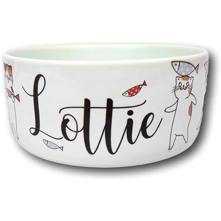 kitten accessories amazon