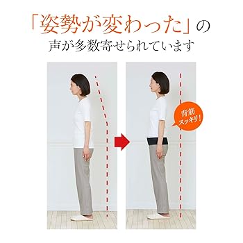 BS ファイン こつばんど　L L 黒 着けるだけで姿勢が変わり、背筋スッキリ！骨盤サポートこつばん