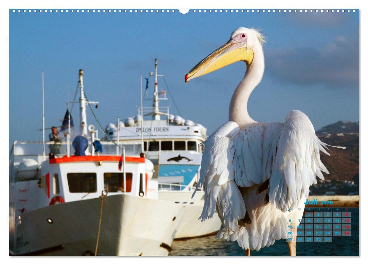 Liebenswertes Griechenland Amorgos und Mykonos (hochwertiger Premium Wandkalender 2026 DIN A2 quer), Kunstdruck in Hochglanz: Sehnsucht nach Griechenland (CALVENDO Orte)