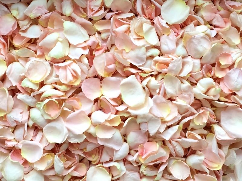 Rose Petals for Wedding Decoration, Bridal Toss,...