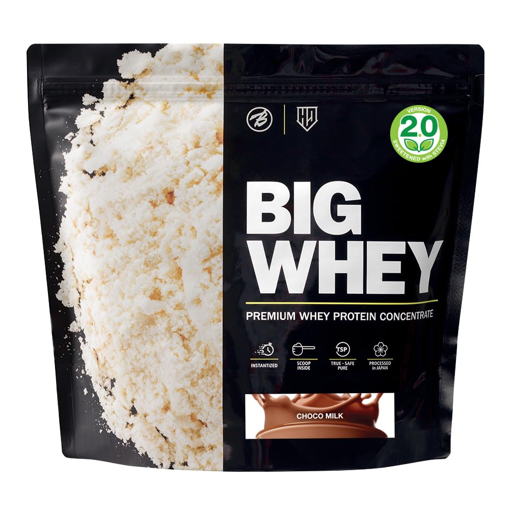 食品 チョコビック5kg