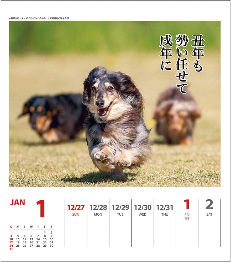 Amazon 21年 ダックス川柳 週めくり カレンダー Vol 007 カレンダー 文房具 オフィス用品