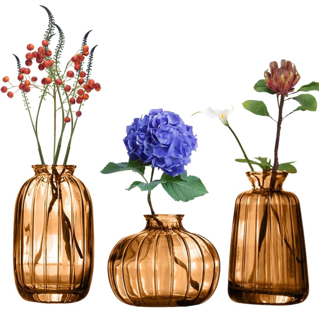 MEETOZ Glass Bud Vase Set of 3- Small Vases for Flowers Home Table Flower Decor, for Office or Wedding Events