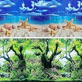 XCNO Fish Aquarium Background Poster Beach Fish Backdrop for Aquarium 10 20 Gallon Tank Wallpaper Fish Tank Background Double Sides Fish Tank Stickers
