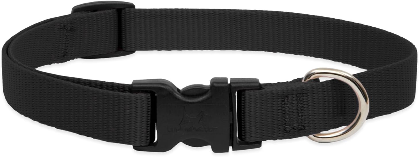 LupinePet Basics 3/4" Black 9-14" Adjustable Collar for Small Dogs