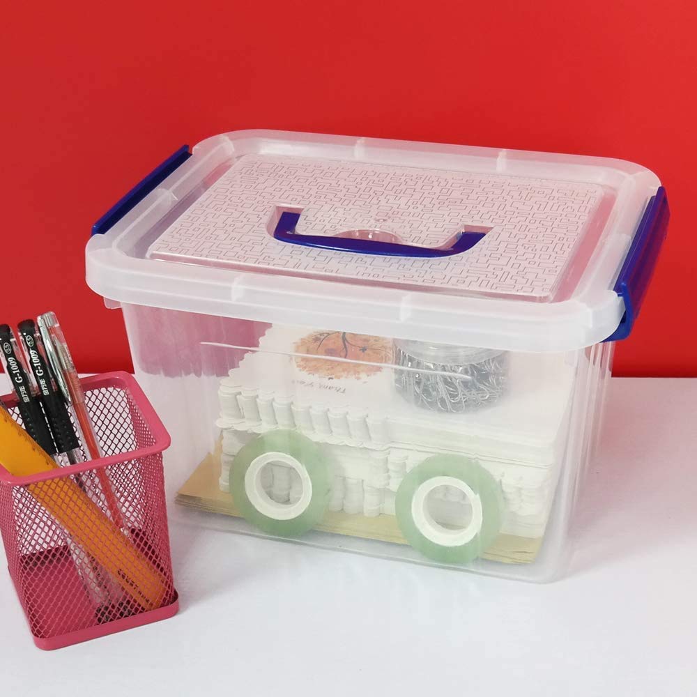 Farmoon 6 L Scatola Portaoggetti in Plastica con Coperchio e Manico, Confezione da 6
