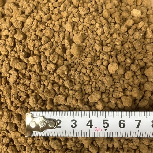 Leap Raupe yozԋʓy  d ~ y (dԋʓy 2L