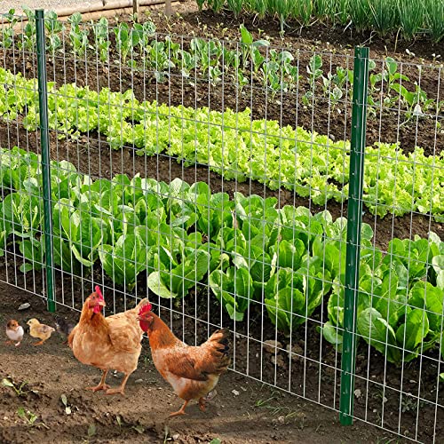 Support Care 3 Feet U Post Sturdy Duty Metal Fence Post - 10 Pack, Powder Coated Steel Fence U Post For Fencing, Garden U Post For Fencing #TOP2