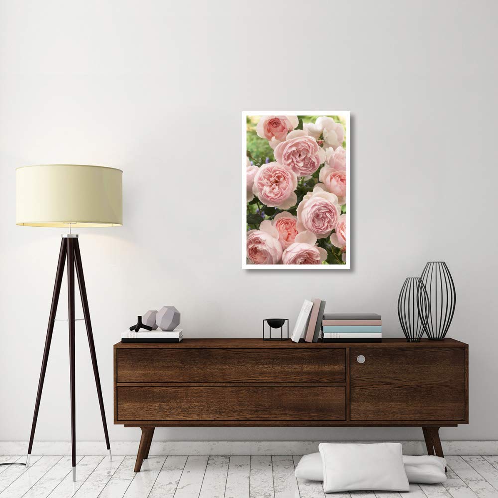 Artworks Italia Rose Patrimoine Fleurs Papier Art 66x96,5 cm