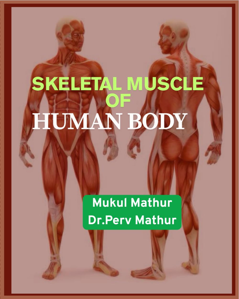 SKELETAL MUSCLES OF HUMAN BODY