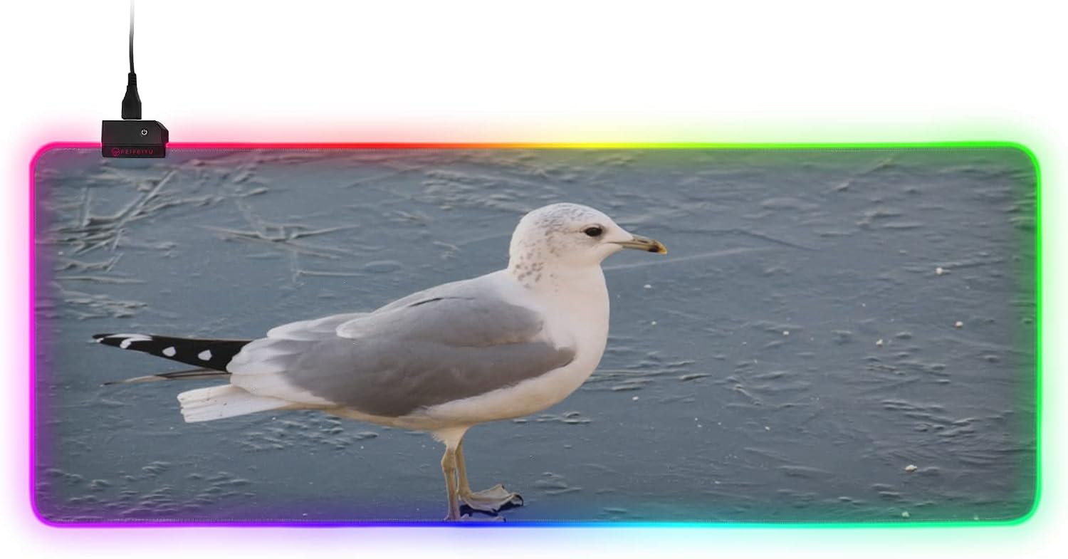 Large RGB Gaming Mouse Pad Adult Common Gull Larus Canus Mew Glowing Extended Mousepad 35.4x15.7in, Soft Anti-Slip Rubber Base Luminous Mouse Mat for Pc Laptop, Gaming, Office, Home
