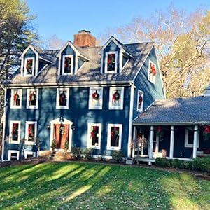 Northlight canadian pine artificial christmas wreath 24 unlit  urban country home decor