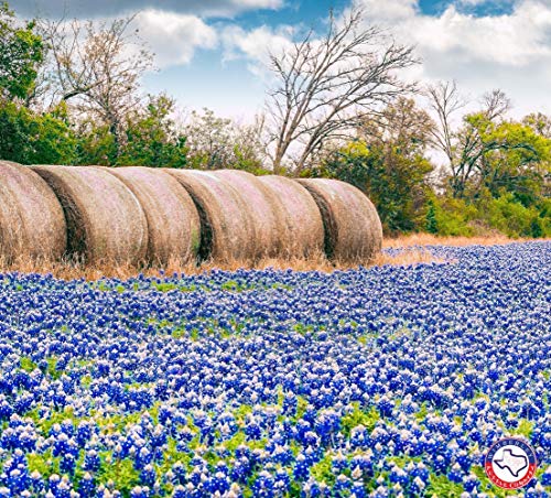 Shop Wimberley Puzzle Company Puzzles On Dailymail