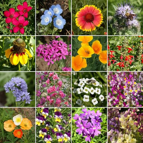 Image of Ferry-Morse Cool Season Bulk Wildflower Seeds, 500,000+, 1 lb