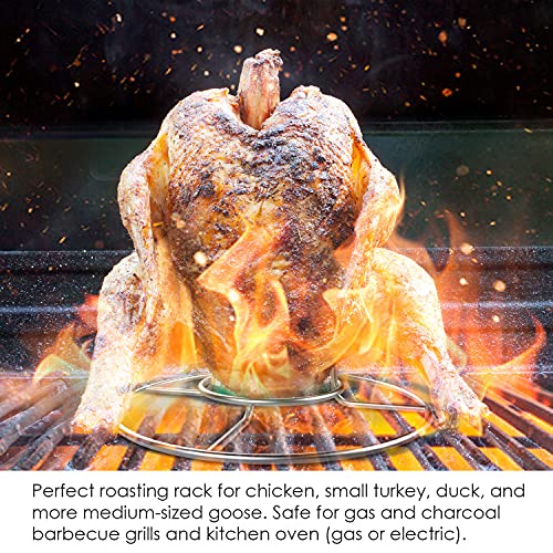 Snapklik.com : Beercan Chicken Rack, Stainless Steel Chicken Stand For ...