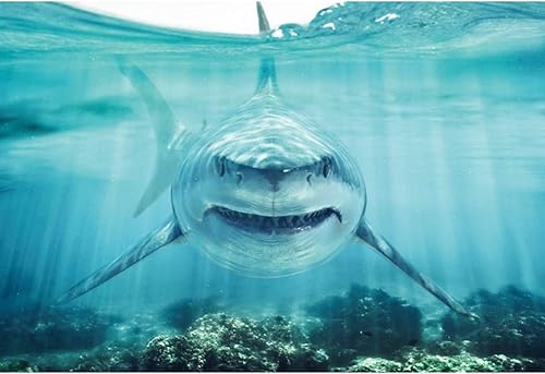 Haoyiyi Fondo de tiburón submarino de 7 x 5 pies, fondo marino profundo bajo el mar, gran tiburón blanco, acuario, fotografía de fondo para bebé