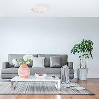 Vista 3 de Design House 501619 Lámpara de techo tradicional de 2 luces para interior con montaje semiempotrado ajustable, vidrio esmerilado para dormitorio