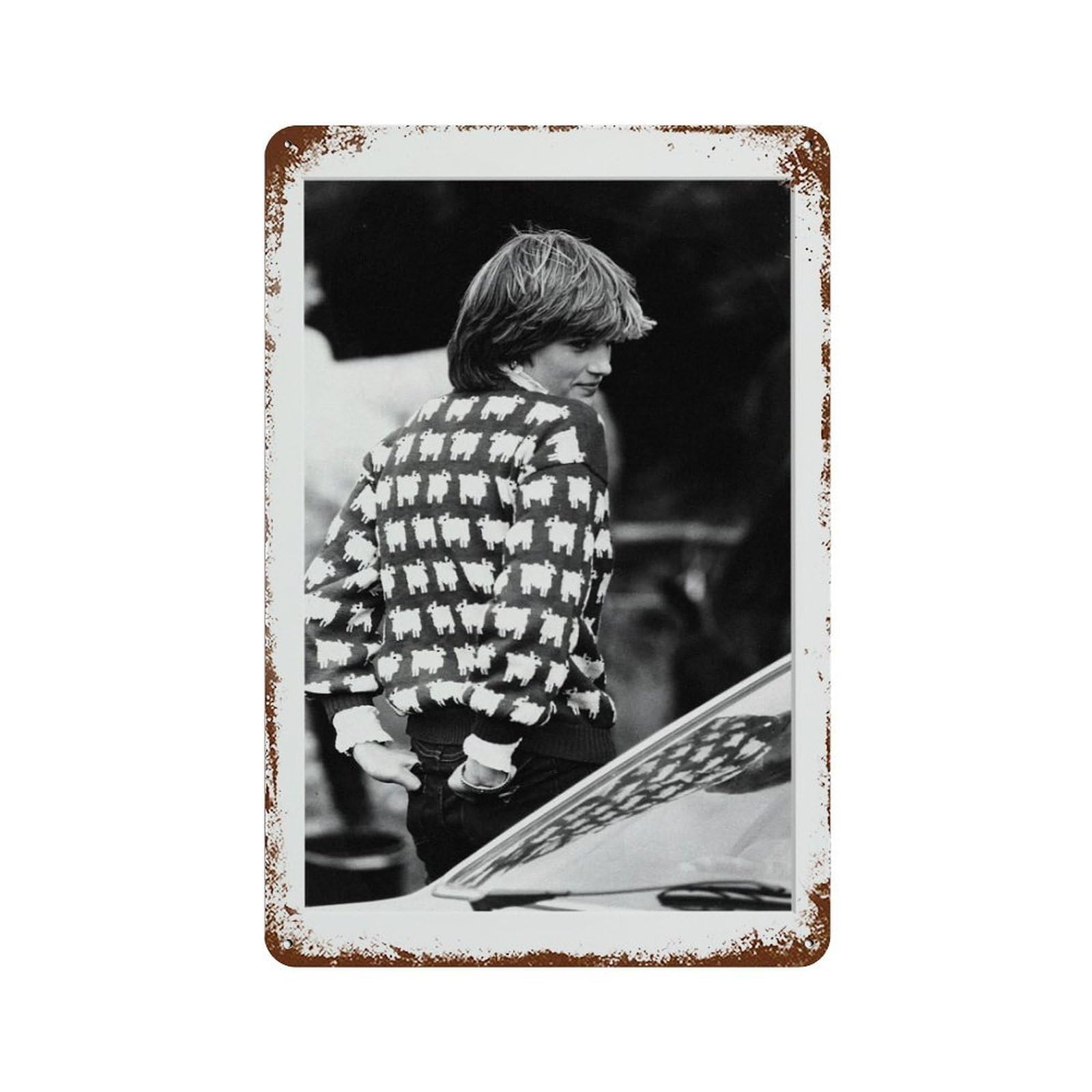xiaoxiaoshen Princess Diana, Photography Wall Decor Art Metal Tin Poster Modern Home Decor Art Home Bar Shop Decorations Vintage Sign 30x20cm