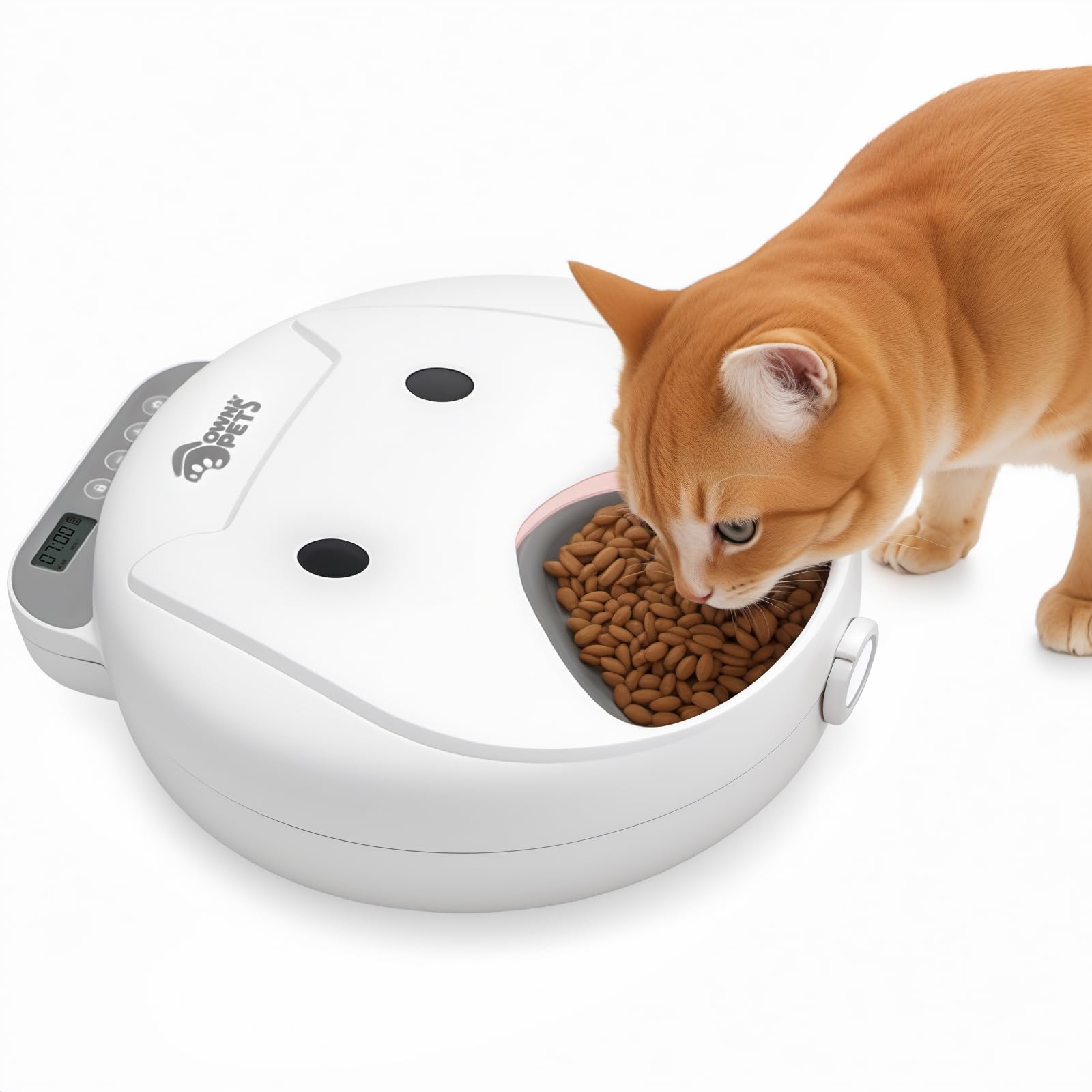 Distributeur De Nourriture Humide Pour Chat, Quel Choix