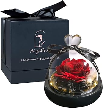 Preserved Rose Flower Birthday Gift for Women Girlfriend Light Up Real Red Glass Rose Gift for Mother Day Christmas Wife Anniversary Valentines Day Gift for Her Red