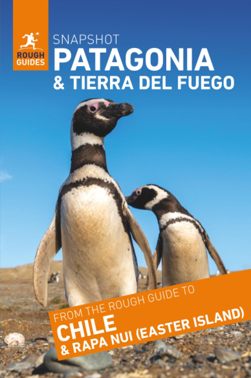 Rough Guides Snapshot Patagonia and Tierra del Fuego (Travel Guide)