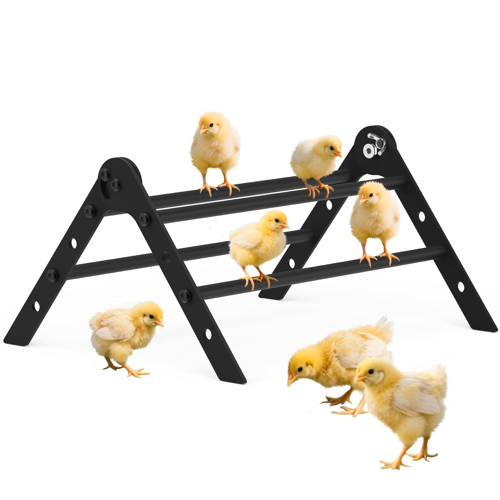 Adjustable Metal Chicken Perch for Coop, Giyiprpi Heavy-Duty Chick Roosting Bar for Brooder, Chicks Stand Toy Training Perches Ladder for Bird Parrot Hens Macaw (4 Roots)