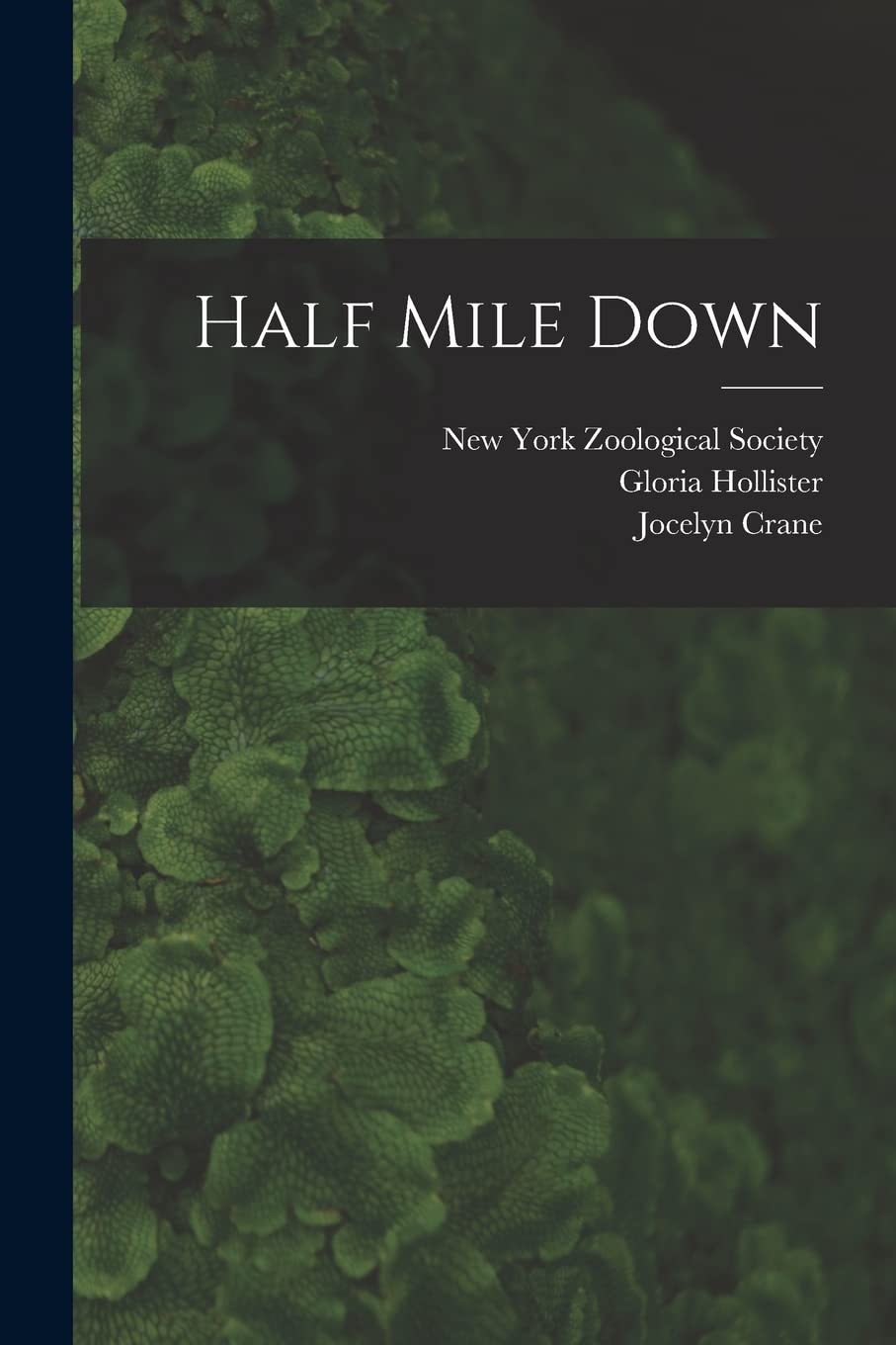 Half Mile Down
