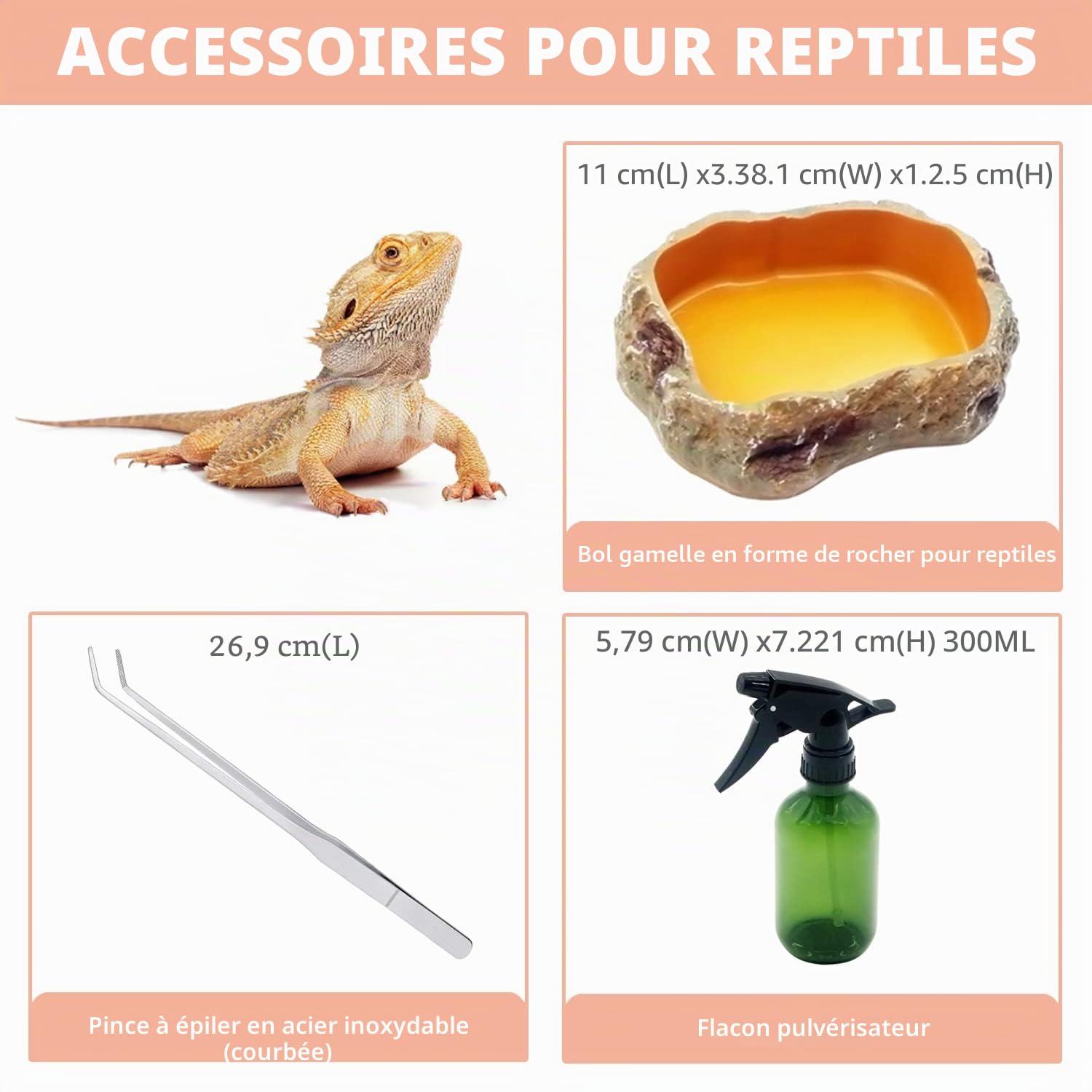 Reptile Growth PC Trousse de Terrarium Reptile, 12" x 7"x 6" PC terrariums avec Vue complète visuellement Attrayante, Vivarium pour Léopard Gecko Barbu Dragon Lézard Escargot Tarentule Serpent Tortue
