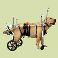 犬用車いす Amazon.co.jp: monozu 犬用車椅子 車いす ペット 犬 歩行器 犬