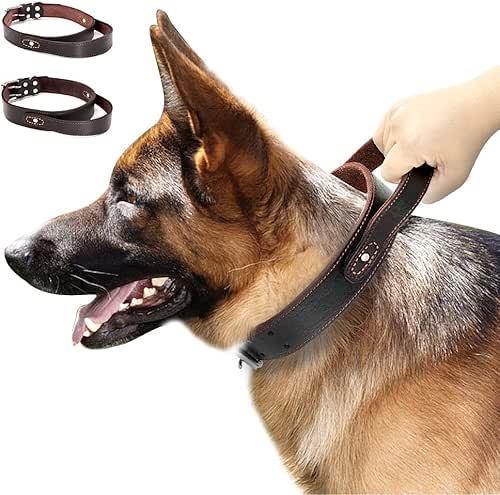 PET ARTIST Genuine Leather Dog Collar Walking & Training Heavy