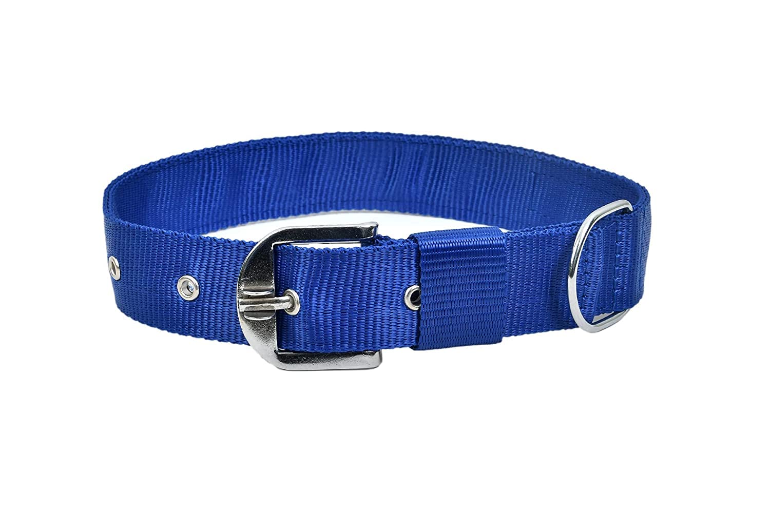 RvPaws Dog Blue Collar for Your pet-25mm with Nylon Material Size 1 Inch for Medium and Large Dogs (B09TQYJJJD) Amazon Price History, Amazon Price Tracker