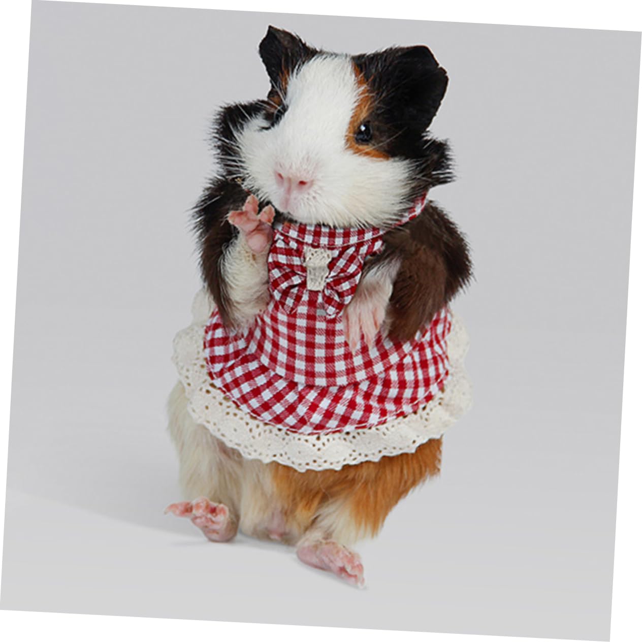 Yardwe 5 Teiliges Geschirrset Für Kleine Haustiere Leinengürtel Meerschweinchengeschirr Kleines Haustiergeschirr Dekoratives Hasengeschirr Frettchen Gehseil Kleines Haustier